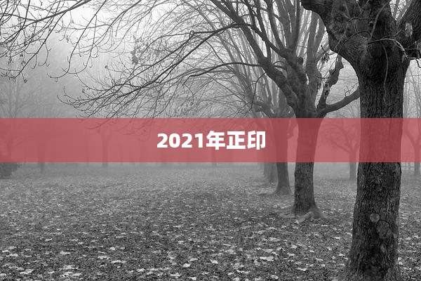 2021年正印