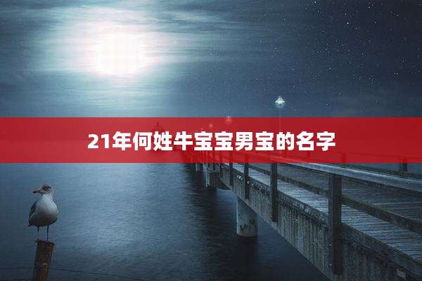 21年何姓牛宝宝男宝的名字