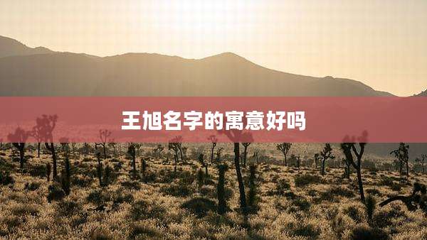 王旭名字的寓意好吗