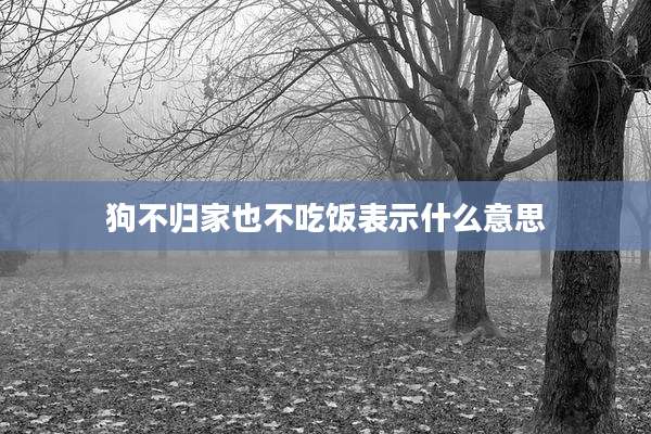 狗不归家也不吃饭表示什么意思