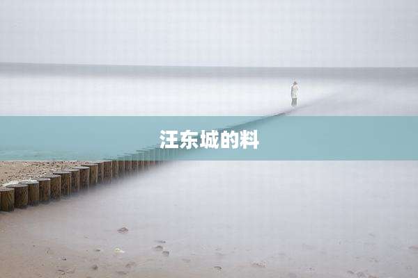 汪东城的料