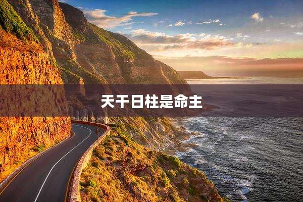 天干日柱是命主
