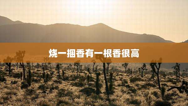 烧一捆香有一根香很高