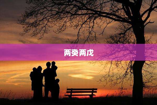两癸两戊