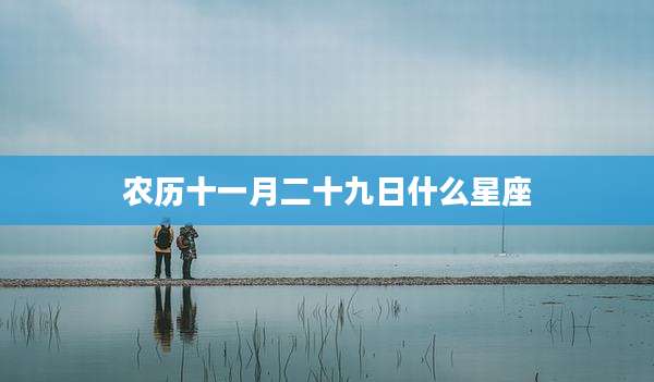 农历十一月二十九日什么星座