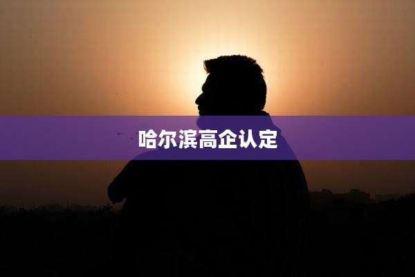 哈尔滨高企认定