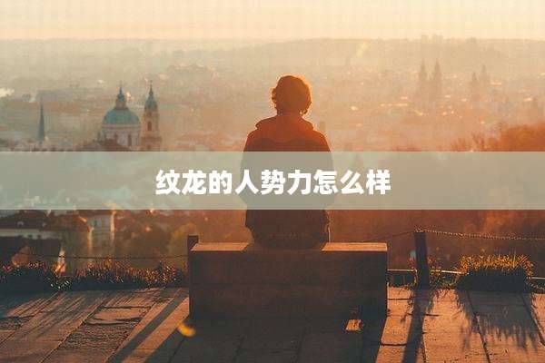 纹龙的人势力怎么样