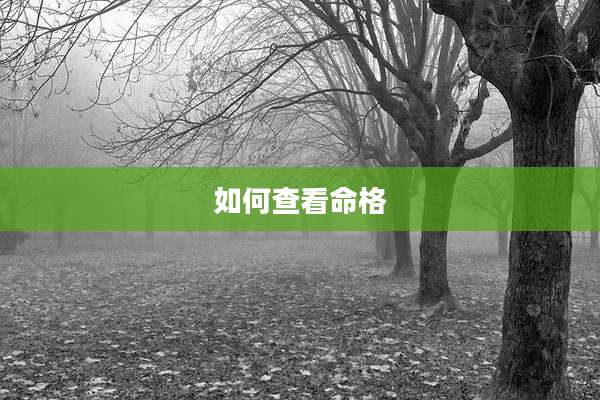 如何查看命格
