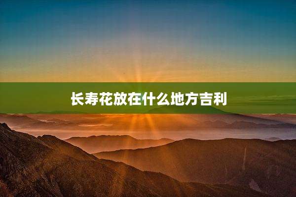 长寿花放在什么地方吉利