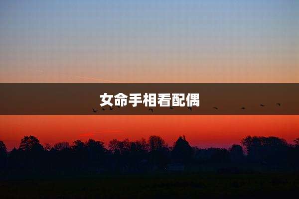 女命手相看配偶