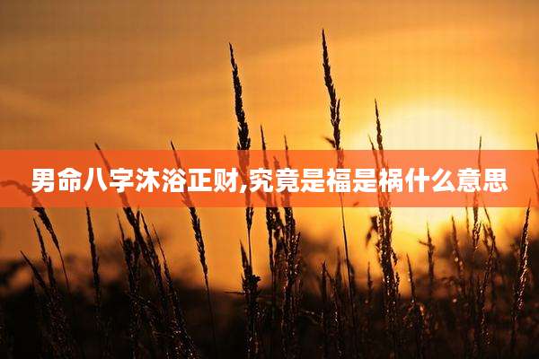 男命八字沐浴正财,究竟是福是祸什么意思
