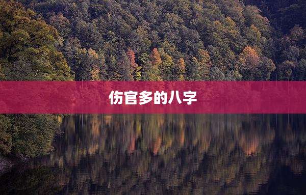 伤官多的八字