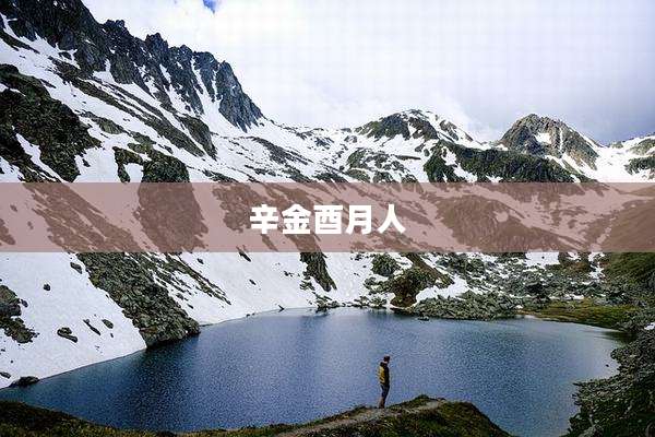 辛金酉月人