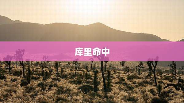 库里命中