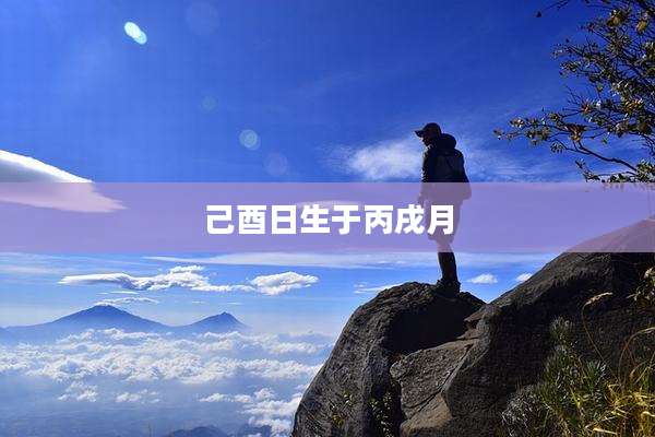 己酉日生于丙戌月