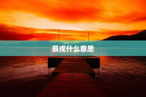 辰戌什么意思