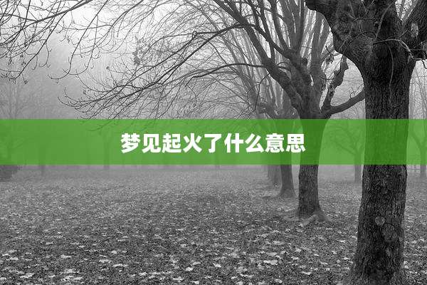 梦见起火了什么意思