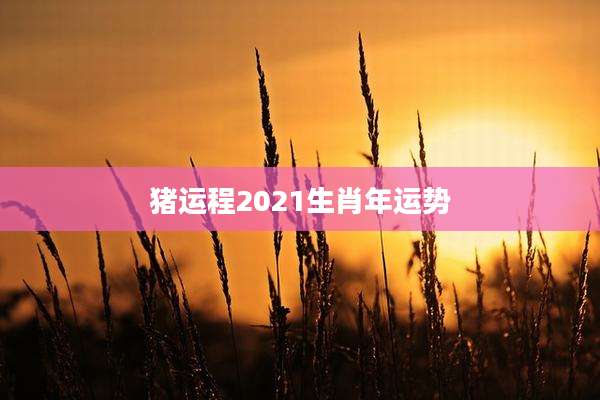 猪运程2021生肖年运势