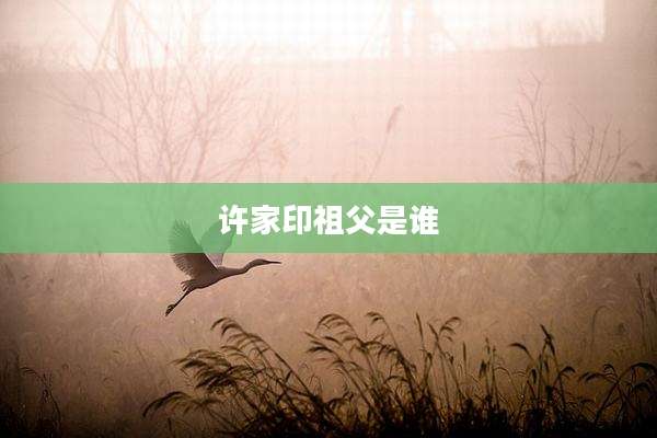 许家印祖父是谁