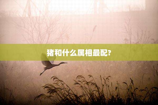 猪和什么属相最配?