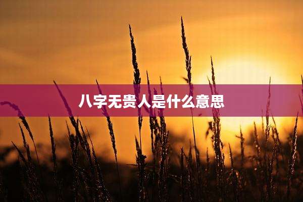 八字无贵人是什么意思