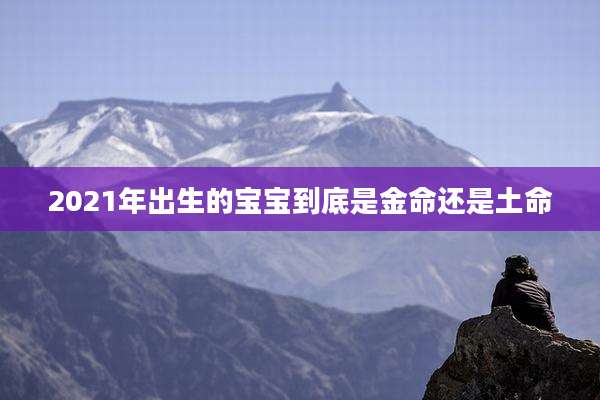2021年出生的宝宝到底是金命还是土命