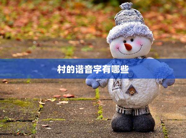 村的谐音字有哪些