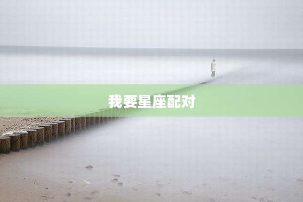 我要星座配对