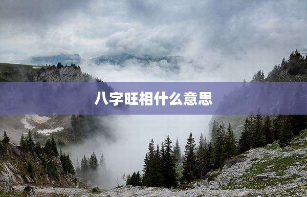 八字旺相什么意思