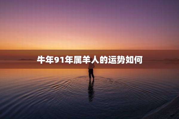 牛年91年属羊人的运势如何