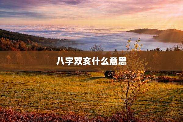 八字双亥什么意思