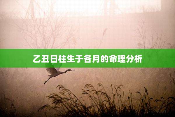 乙丑日柱生于各月的命理分析