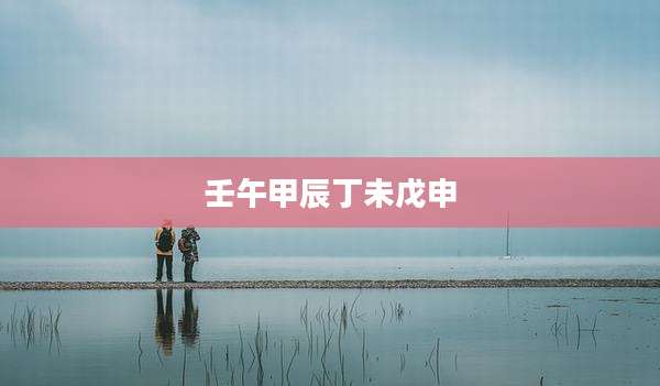壬午甲辰丁未戊申