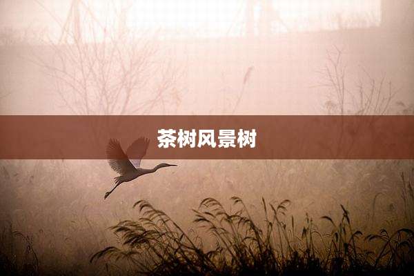 茶树风景树
