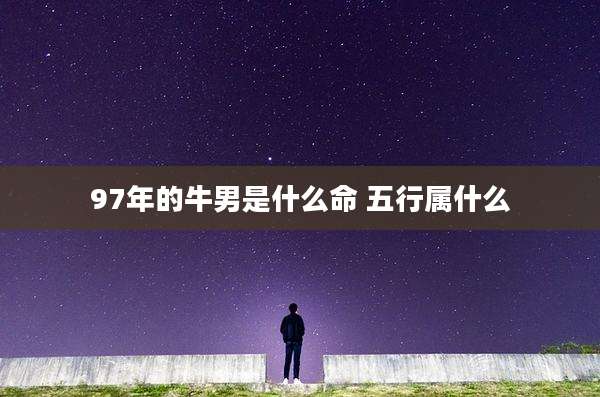 97年的牛男是什么命 五行属什么