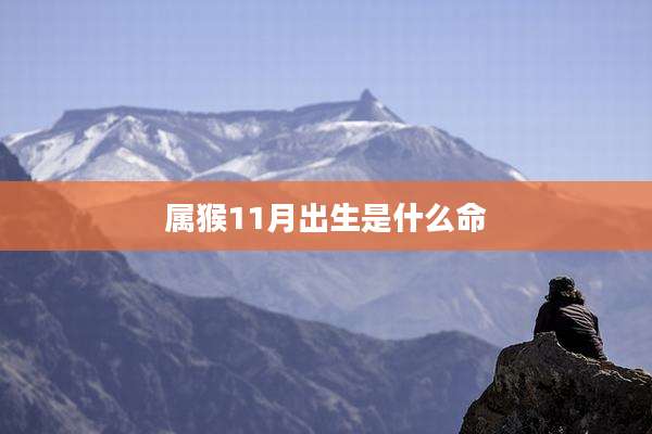属猴11月出生是什么命