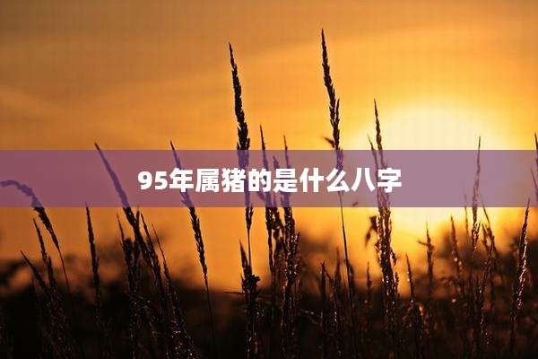 95年属猪的是什么八字