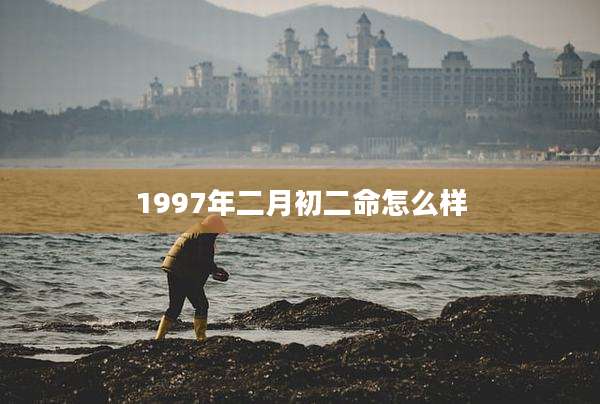 1997年二月初二命怎么样