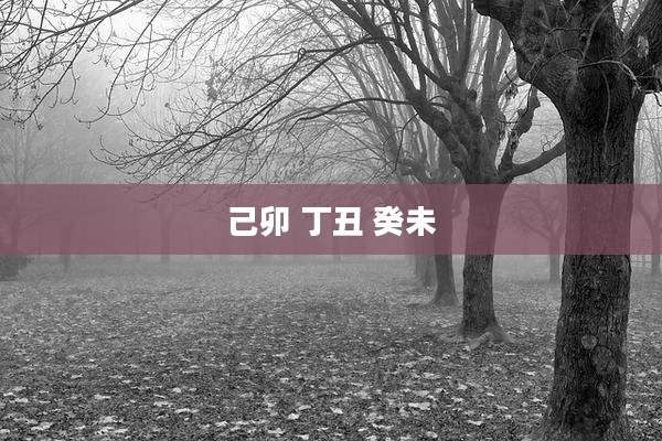 己卯 丁丑 癸未