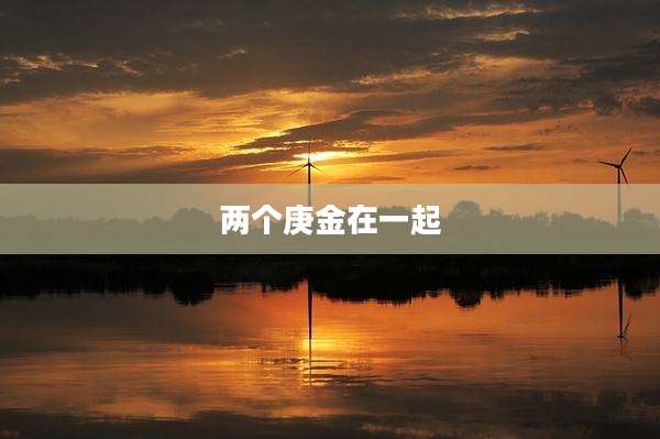 两个庚金在一起