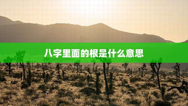 八字里面的根是什么意思