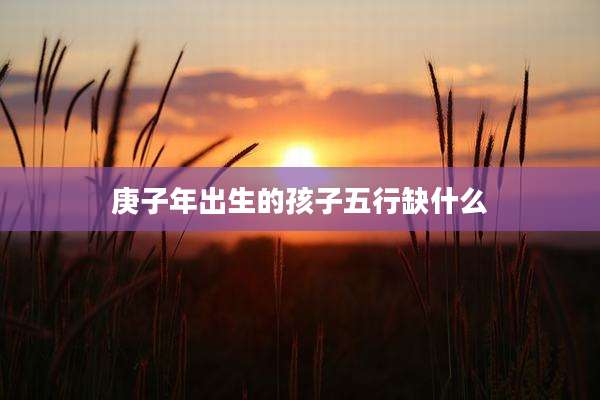 庚子年出生的孩子五行缺什么