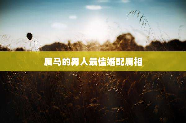 属马的男人最佳婚配属相