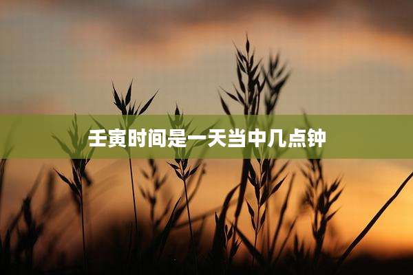 壬寅时间是一天当中几点钟