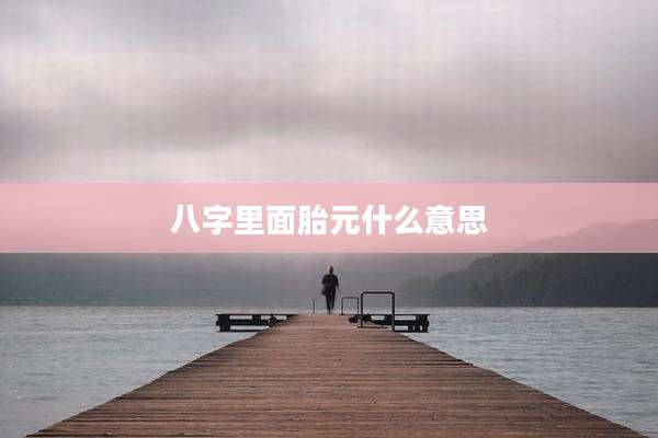 八字里面胎元什么意思