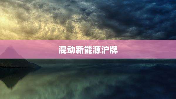 混动新能源沪牌