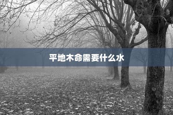 平地木命需要什么水