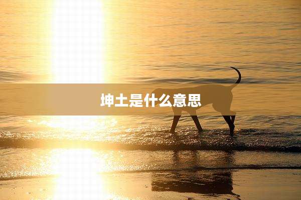 坤土是什么意思