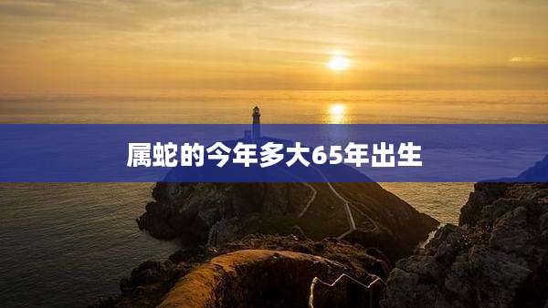 属蛇的今年多大65年出生