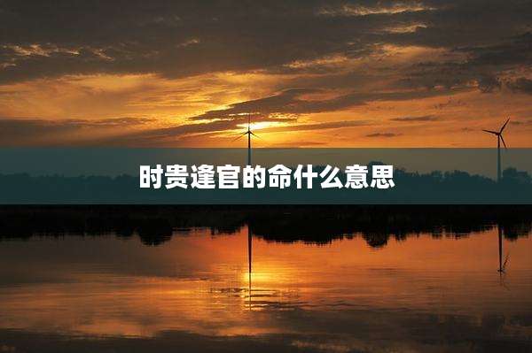 时贵逢官的命什么意思